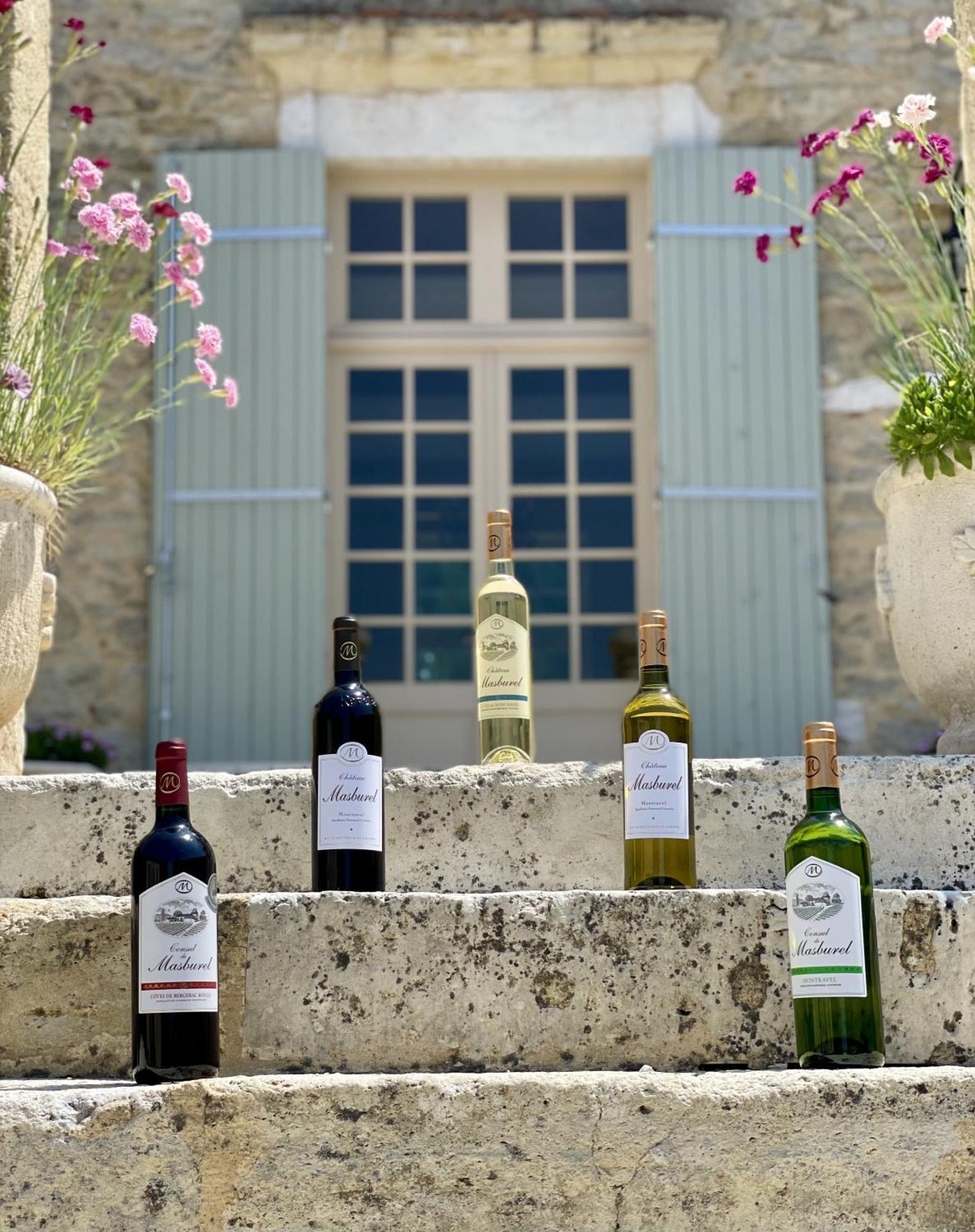 Chateau Masburel Fougueyrolles Dış mekan fotoğraf